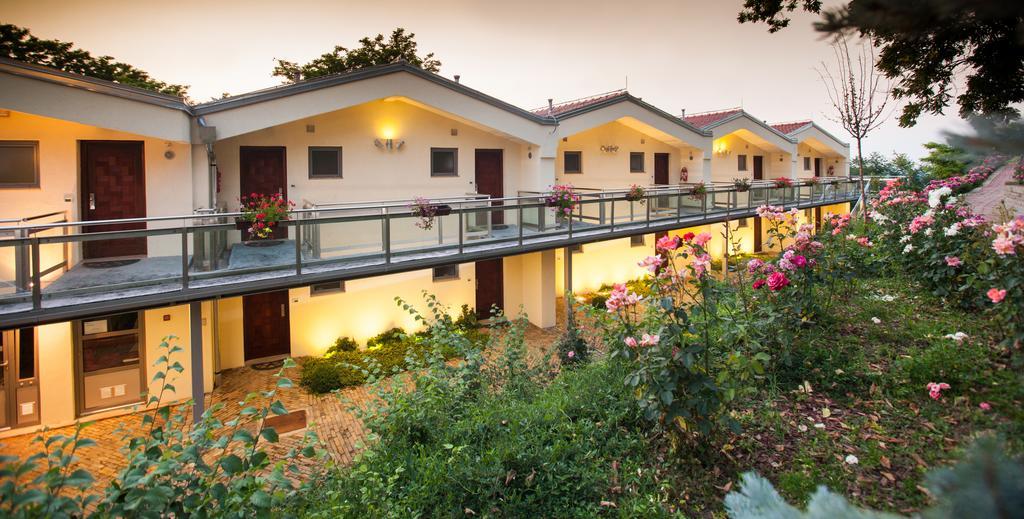 Hotel Stari Podrum 이록 외부 사진